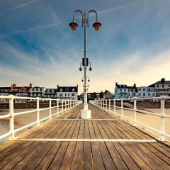 Jersey swimming club 4