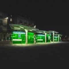 le champignons de la gare