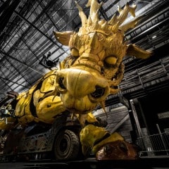 le dragon dort