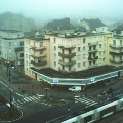 Speedy dans le brouillard