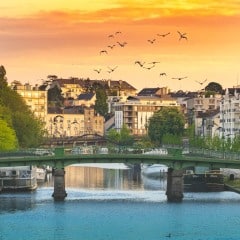 les cormorans du pont St Mihiel
