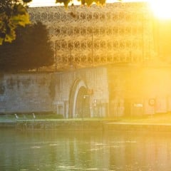 les hérons de l'Erdre